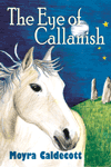 The Eye of Callanish by Moyra Caldecott